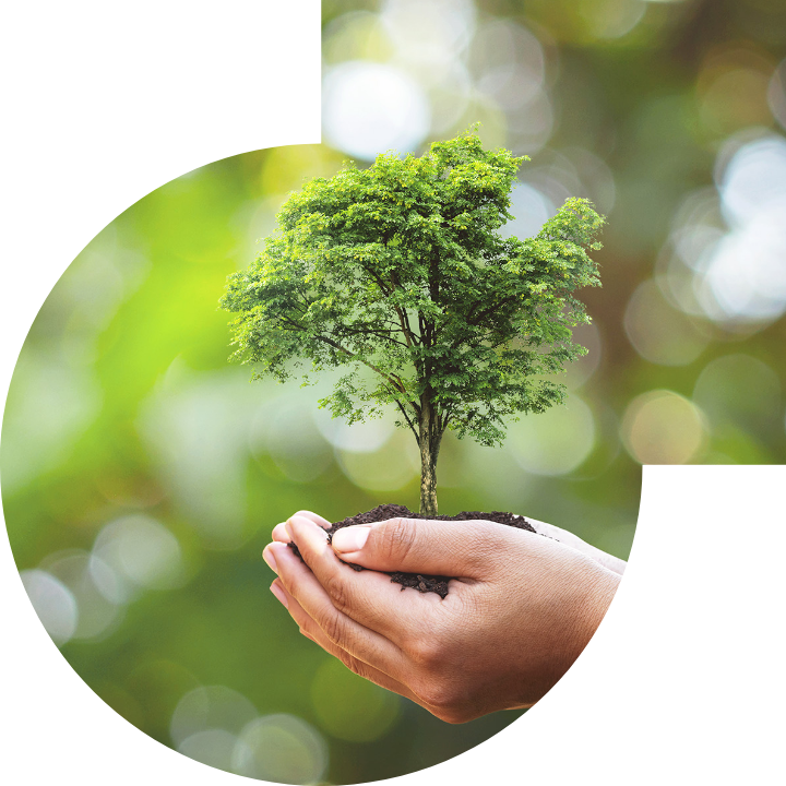 关怀人类、文化、环境与社会